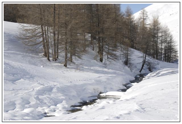 12_Le Queyras-Route du col Aniel.jpg
